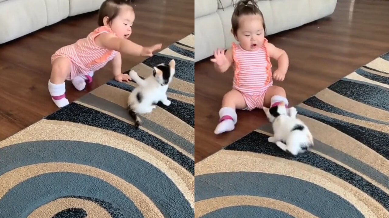 No words Just watch this baby and Cat puppy ia absolutely gorgeous.