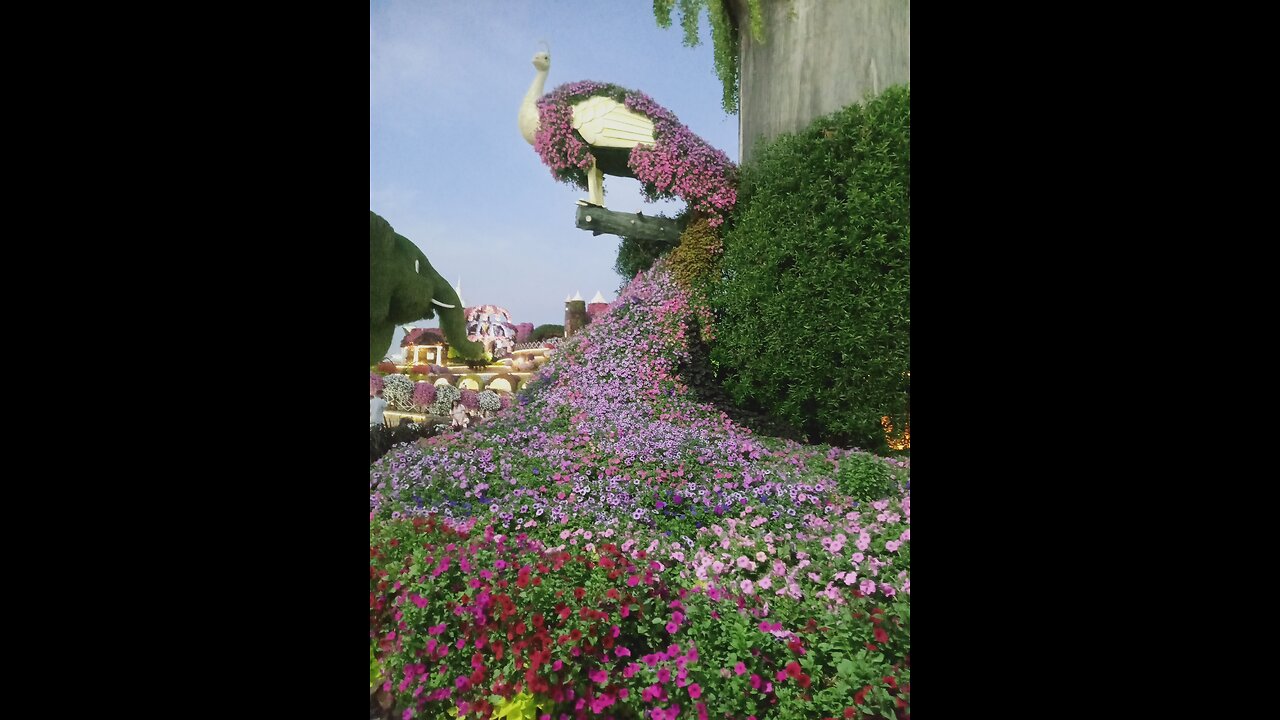 Miracle garden,Dubai,UAE