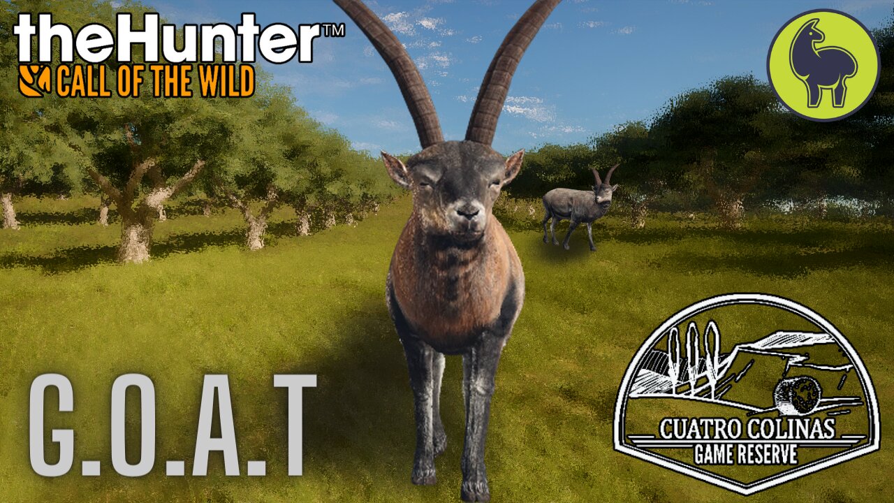 G.O.A.T, Cuatro Colinas | theHunter: Call of the Wild (PS5 4K)