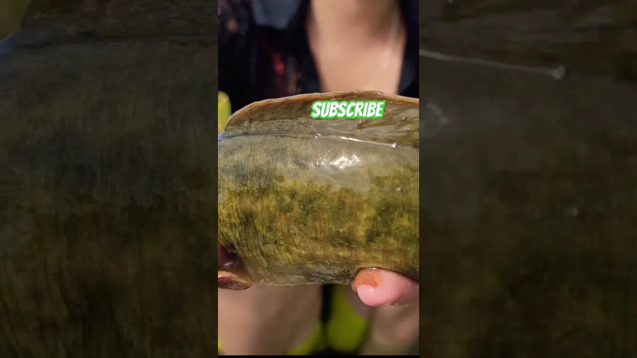 ππ fishing today βΊοΈ video end tak dehk na #shorts