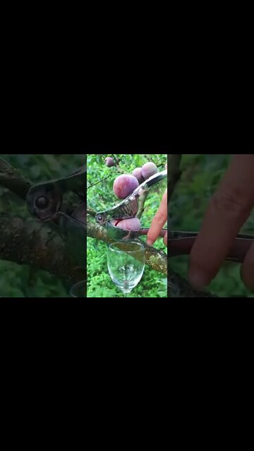 #shorts #2022 funny,prank,funjokes,dad jokes,funny memes,funny video,fun,laughing,funny animal,knock