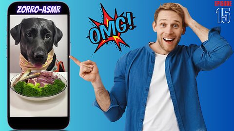 🍖 Feasting on Meat Today! 🐾 Labrador Love 🐶 🌟Adorable Pet Debut 🐶 Zorro's Daily Life 🐕 #Shorts