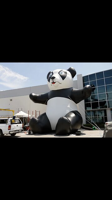 🐼 Big Inflatable Panda 🐼