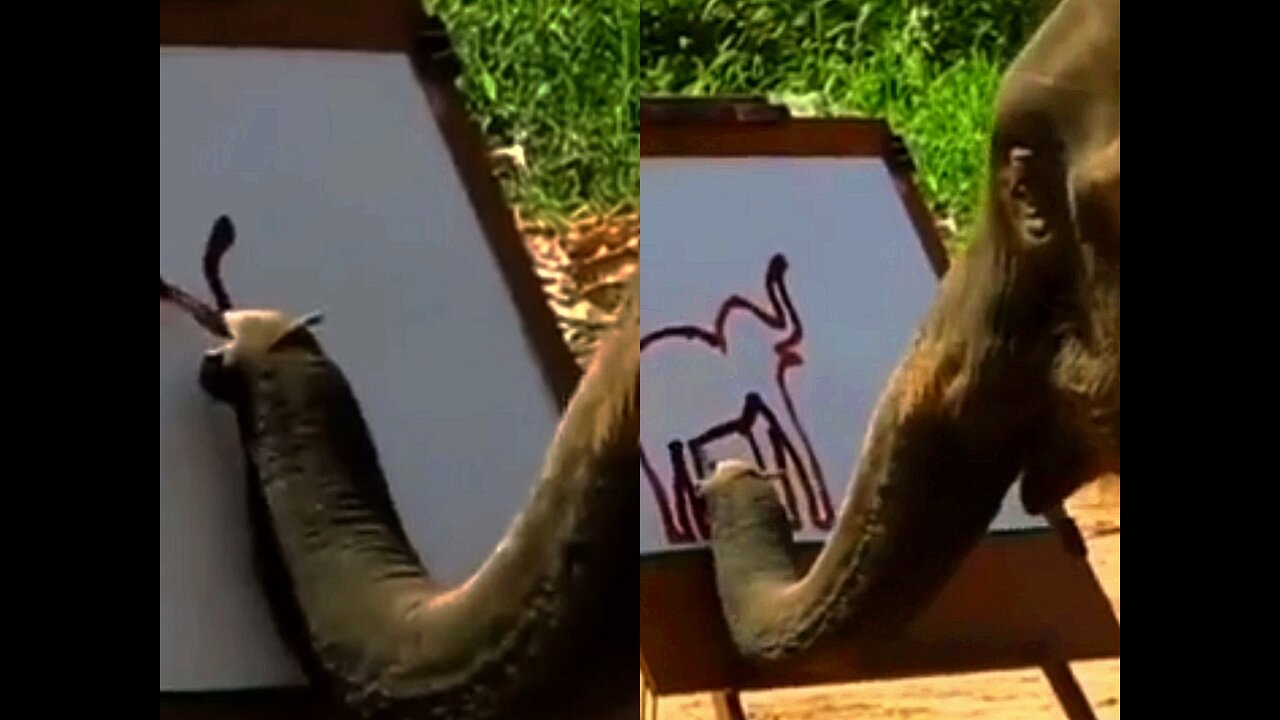 shock content adorable elephant painting himself