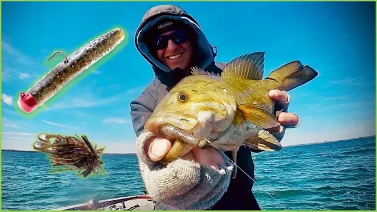 🔴 Smallmouth Fishing Made Easy! (Beginner To Advanced)