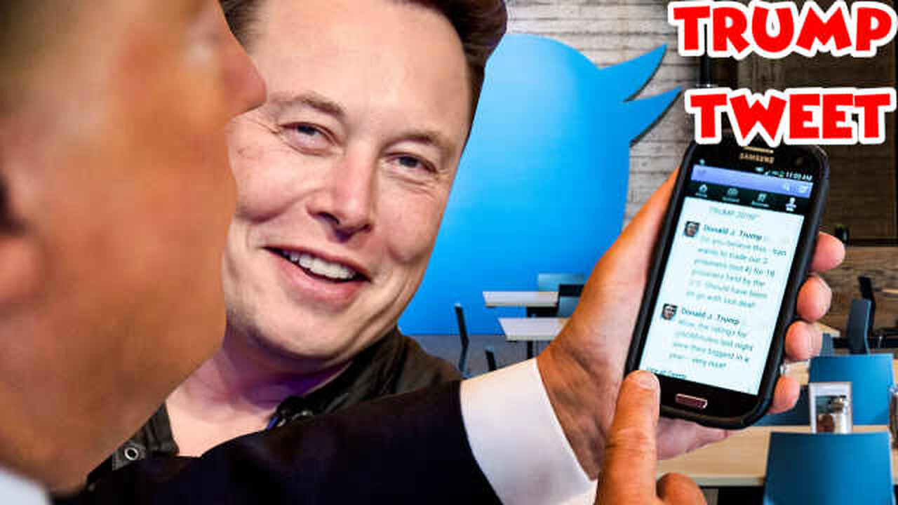 Elon Musk Polls Twitter Users On Whether Trump Should Be Reinstated