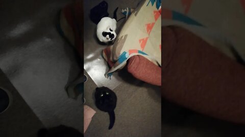 Hilda is so polite 💖