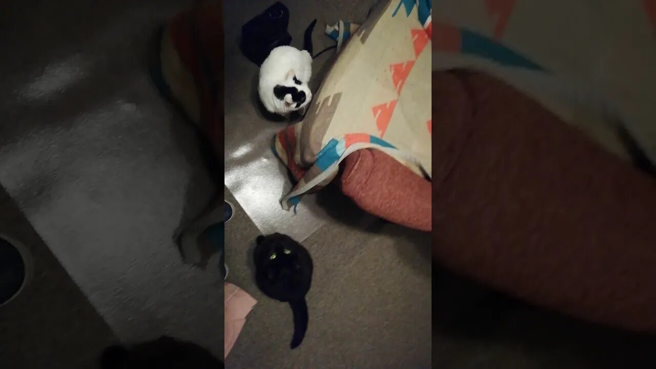 Hilda is so polite 💖