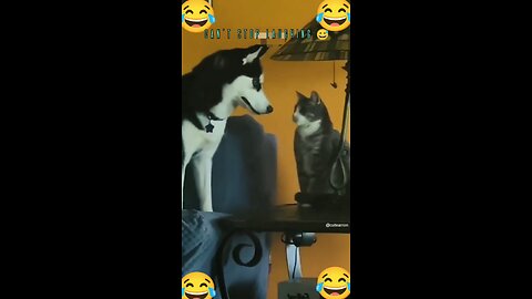 Funny moments of pet 🐶🐕😅!! must you can't stop laughing 🛑🤣!! #rumble#petlover#funny #trending