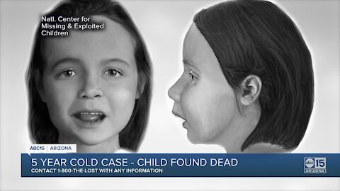 5 years later: Girl found dead in suitcase in Texas, may be from Arizona still unidentified