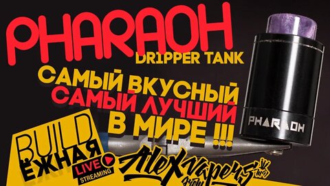 buildЁЖНАЯ l PHARAOH DTA l ой, какой же он вкууууусный! 🚭🔞