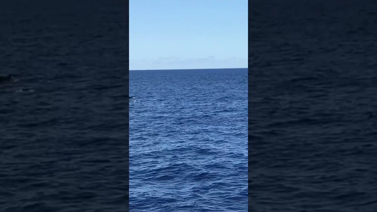 Relaxing in ocean 🌊 purtogal