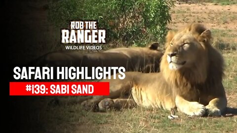 Safari Highlights #139: 02 - 04 April 2012 | Sabi Sand Nature Reserve | Latest Wildlife Sightings