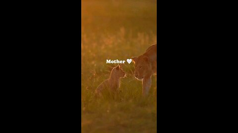 Mother