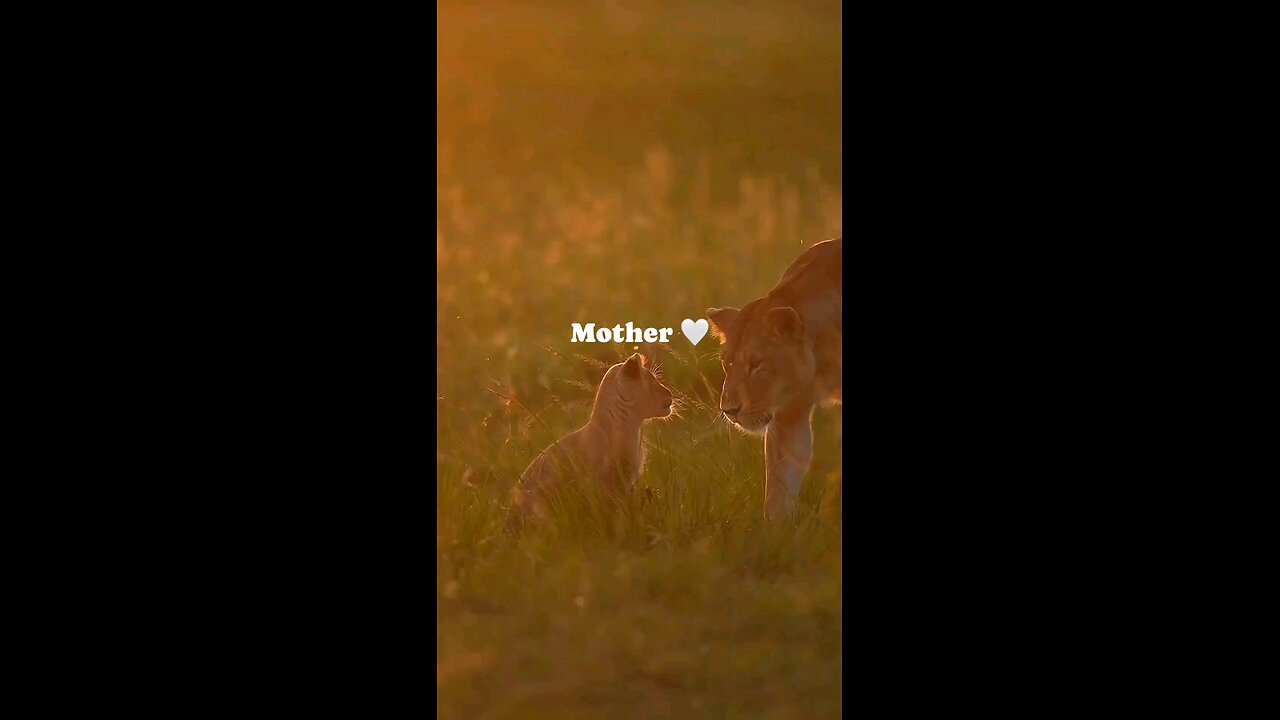 Mother