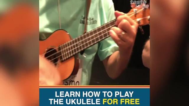 Free ukulele lessons in Tampa Bay? Where you can learn how to play