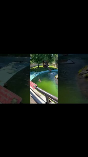 Sea Otters at Moncton Zoo NB