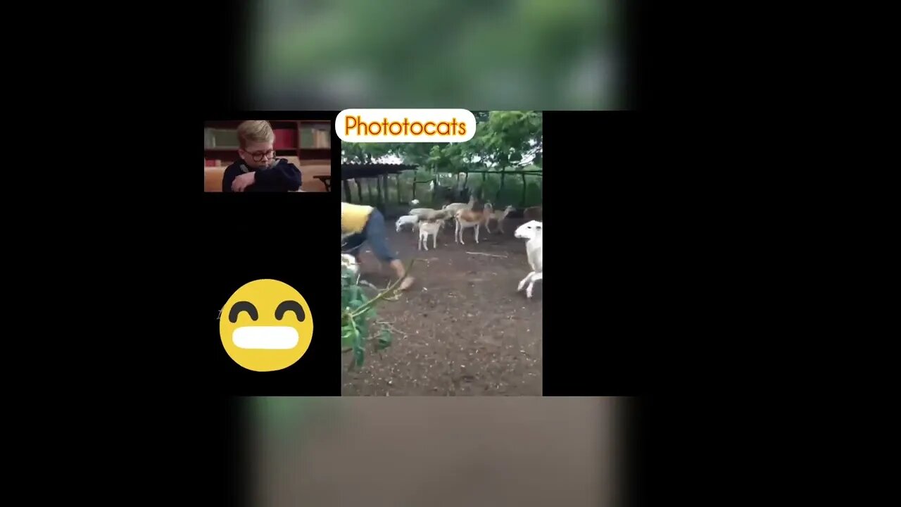 choc...