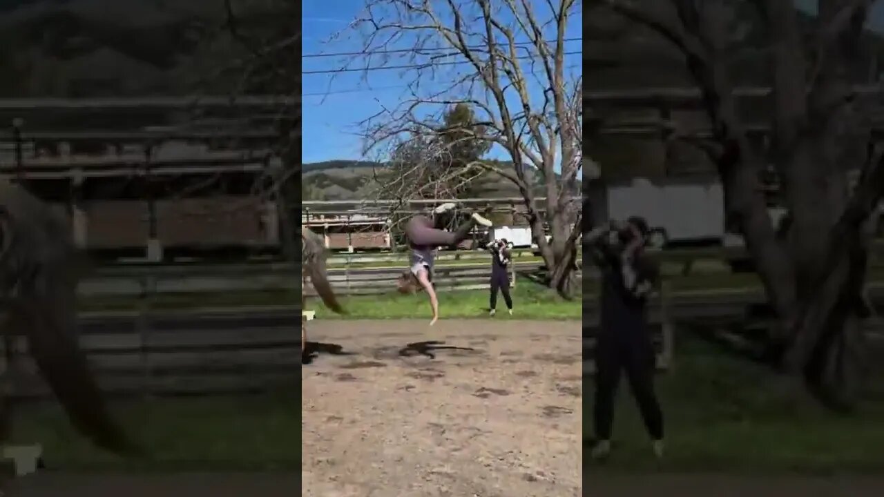 definitely went wrong đđ¤đđâšī¸đĸđ´#FUNNY ANIMALS#FUNNY #ADORABLY ANIMALS,#SHORTS