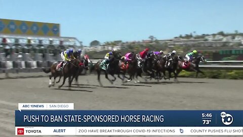 San Diego Democratic Party pushes to ban state-sponsored horse racing