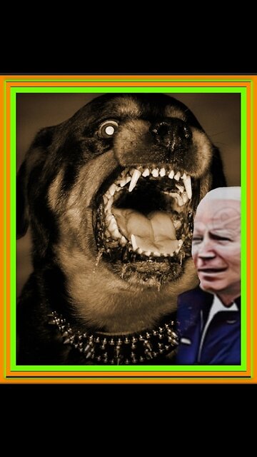 🇨🇮"IRELAND'S PRESIDENT'S 'DOG MISNEACH' SCARES THE HELL OUT OF JOE BIDEN"🇨🇮