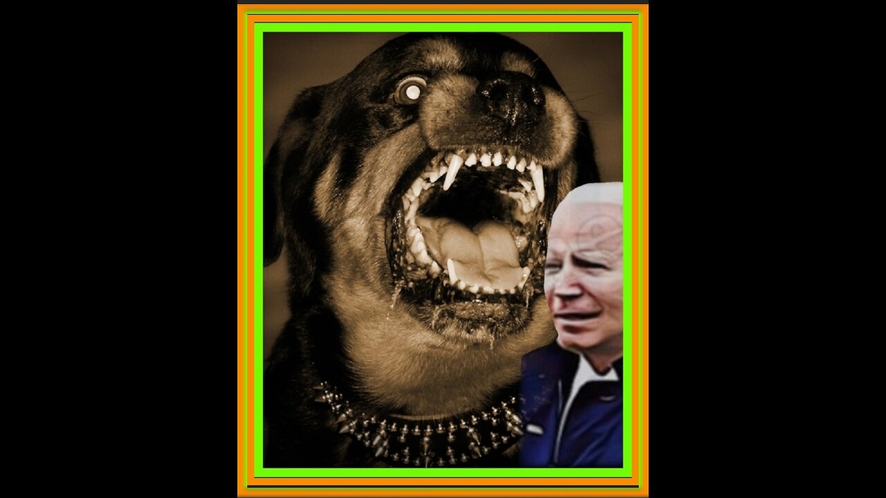 🇨🇮"IRELAND'S PRESIDENT'S 'DOG MISNEACH' SCARES THE HELL OUT OF JOE BIDEN"🇨🇮