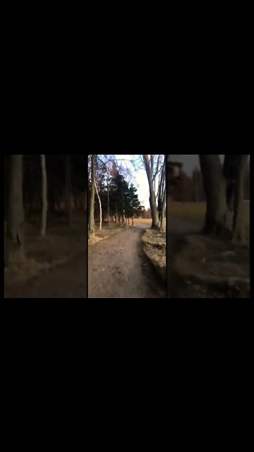 Going for a walk through a golf course in the spring #shorts