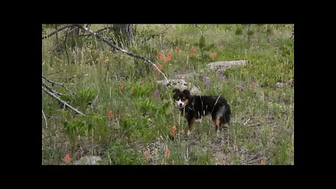 Permanent Drought Update