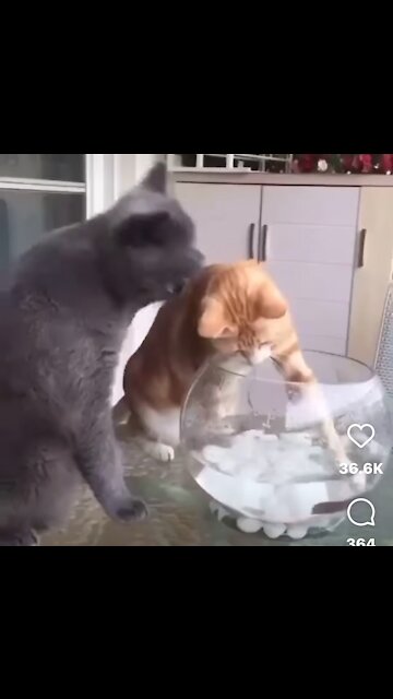 Don’t mess with my friend