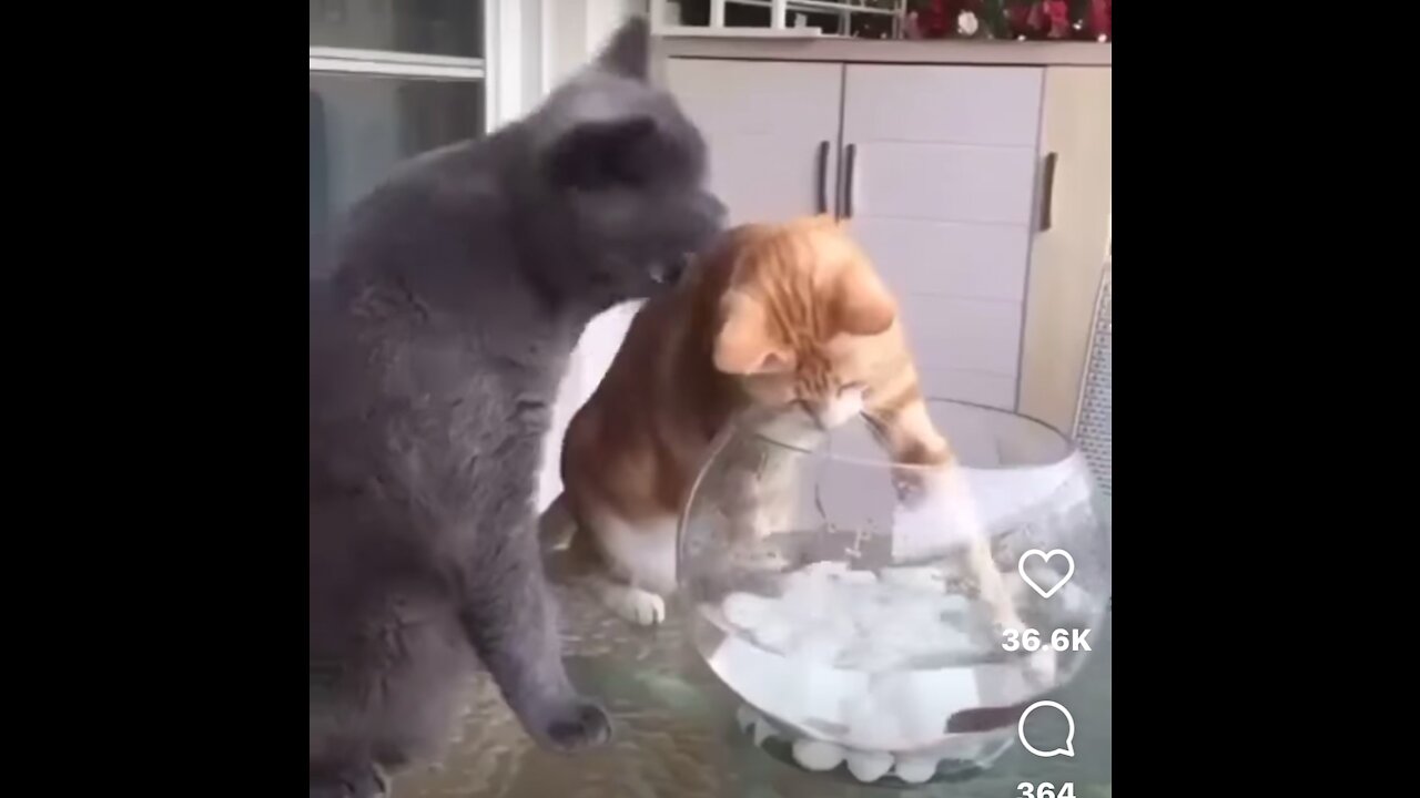 Don’t mess with my friend