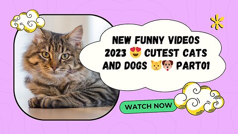 New Funny Videos 2023😍 Cutest Cats and Dogs 🐱🐶 Part01