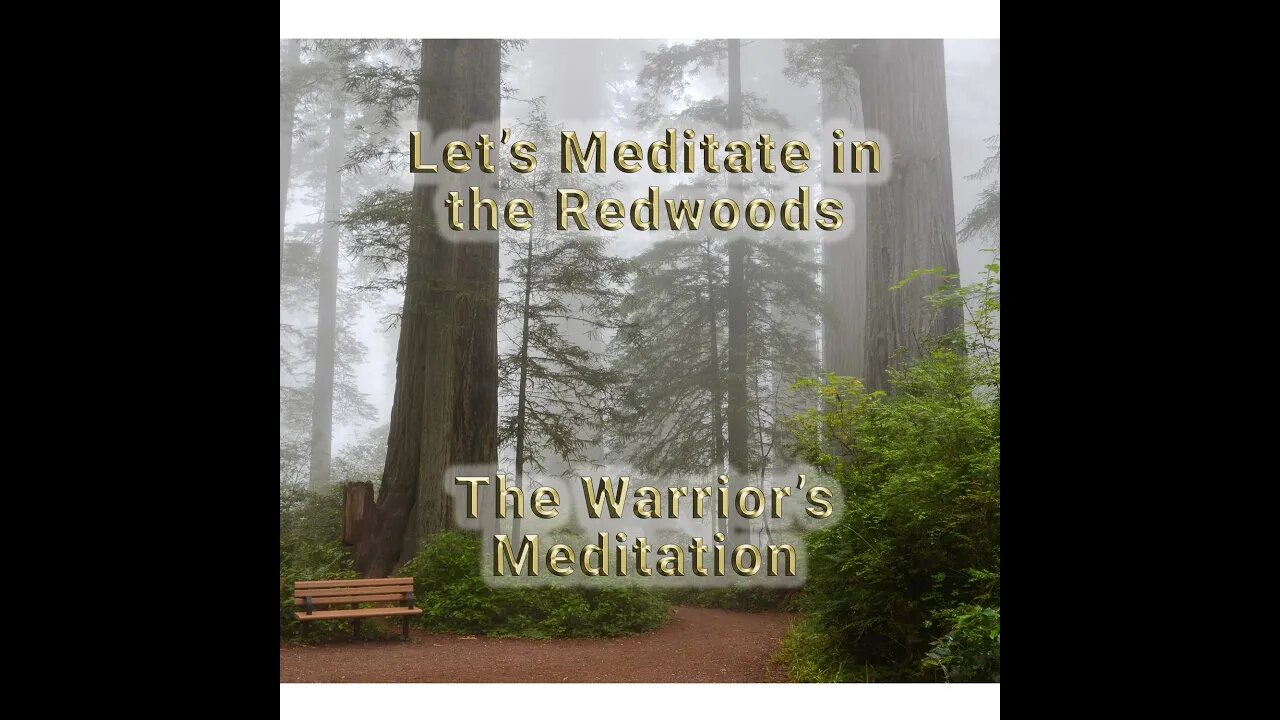 Walking with The Warrior's Meditation in Stout Grove