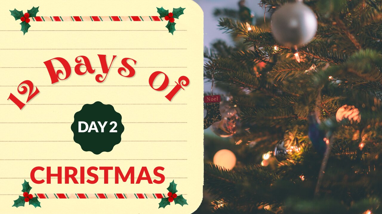 12 Days of Christmas- Day 2 What Christmas Means To Me