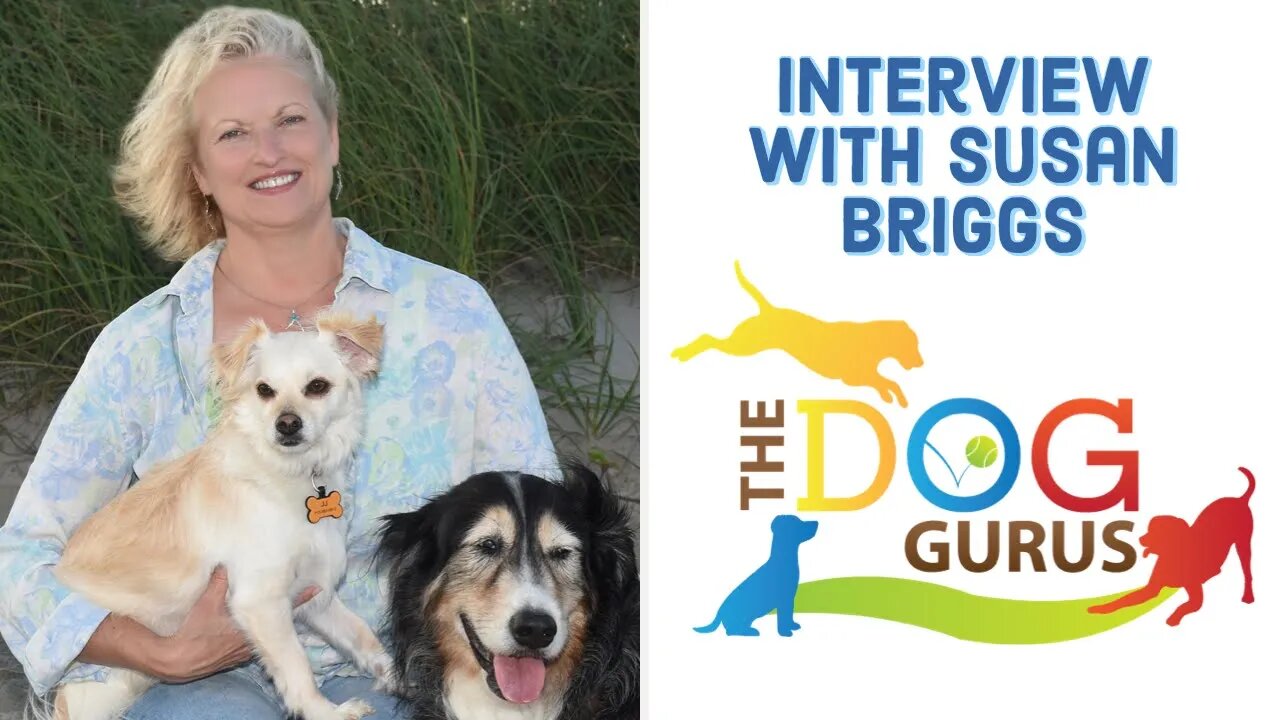 Interview with Susan Briggs from The Dog Gurus