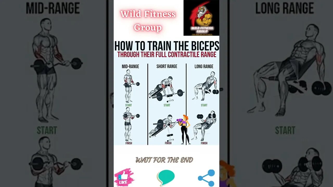 🔥How to train the biceps🔥#shorts🔥#wildfitnessgroup🔥8 August 2022🔥
