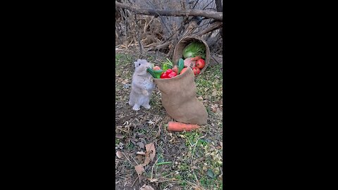 cute rabbit 🐰😍