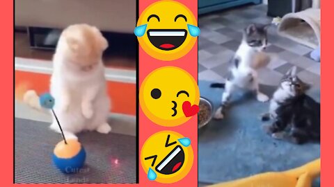 Funny Cats actions||Try not to laugh😂😂