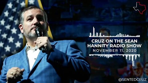 Cruz Speaks with Hannity About the 2020 Election Recount Process