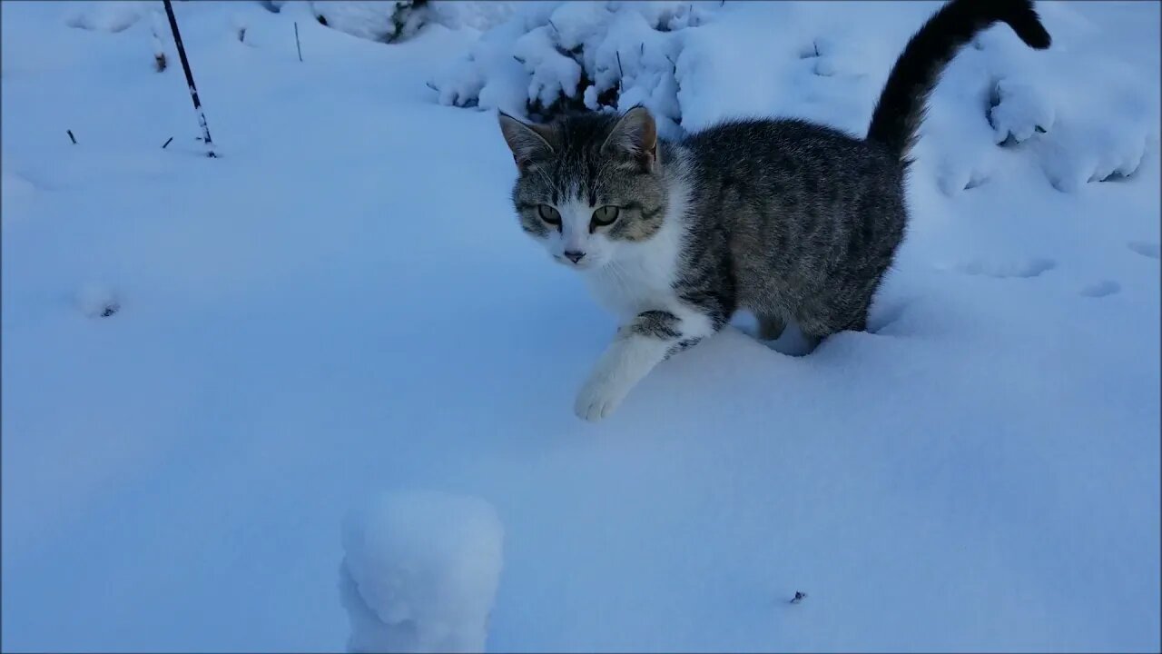 April snow showers bring...nothing good!