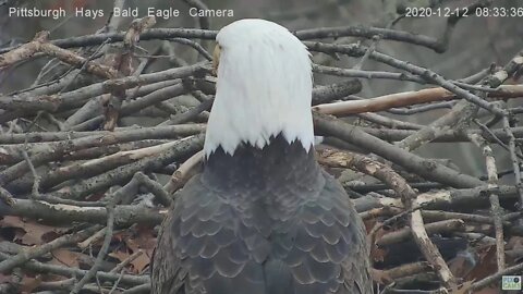 Hays Eagles Dad closeup 2020 12 12 08 832 836am