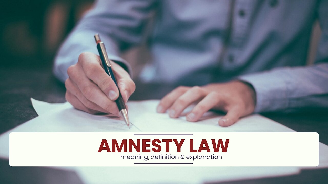 What is AMNESTY LAW?