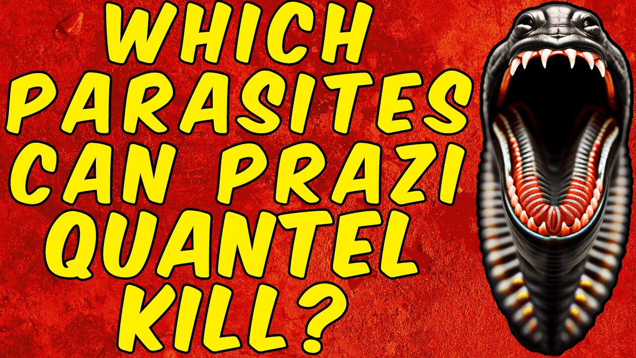 Which Parasites Can Praziquantel Kill?