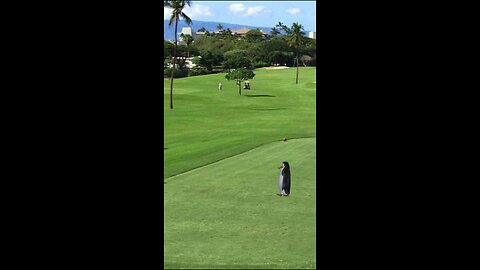 When the boys can finally get together for a round 🙌.