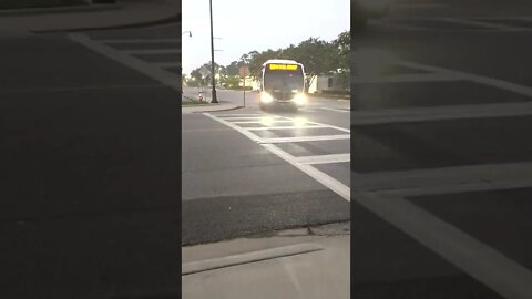 July 5, 2022 Bus driver driving in the dark. #gangstalking