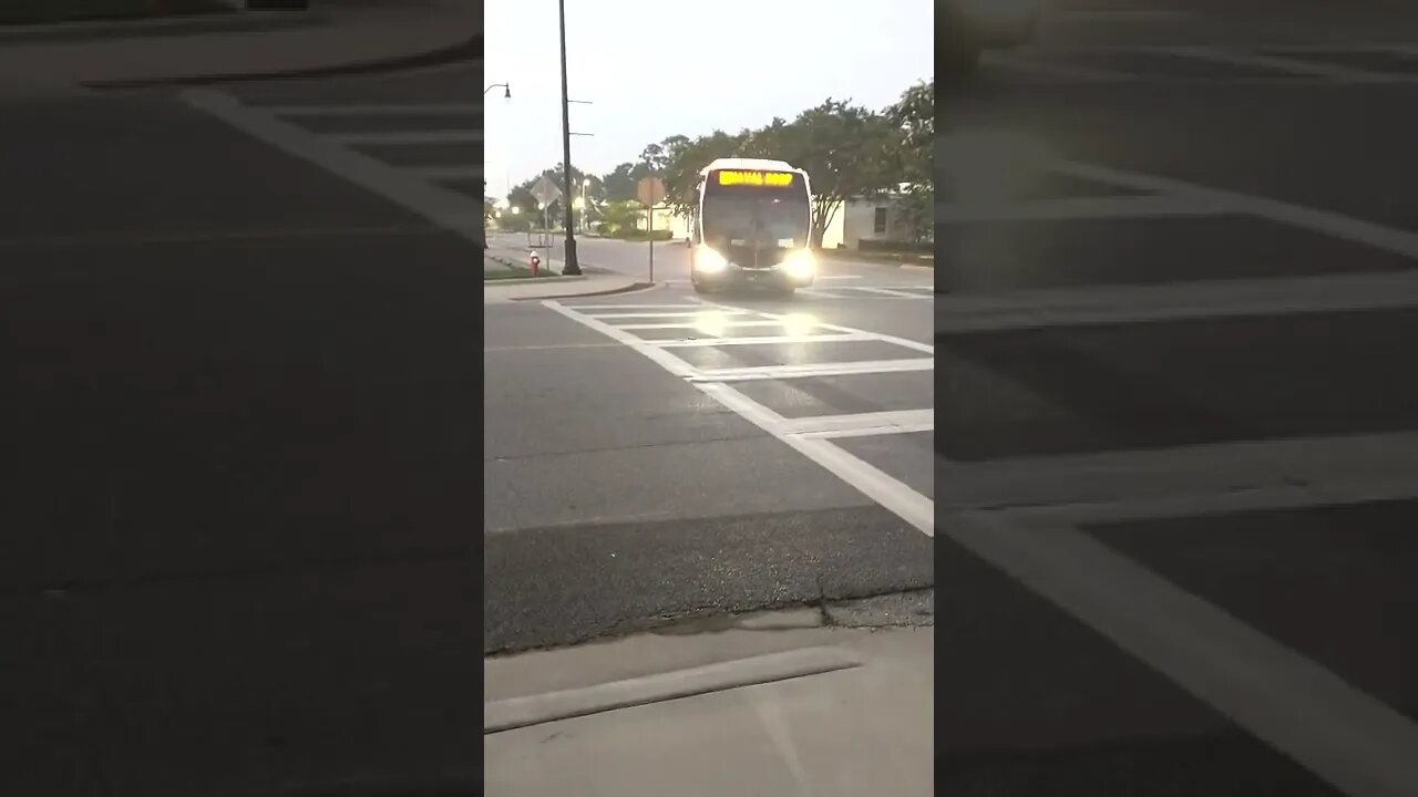 July 5, 2022 Bus driver driving in the dark. #gangstalking