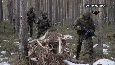 NATO Canon fodder