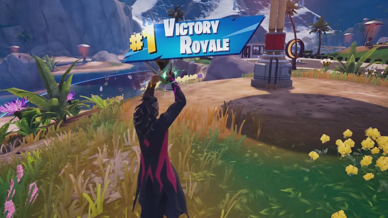 🔹🔷 Solo Victory Royale 26 (1228 Total) Chapter 4 Season 4 KADO THORNE Skin 🔷🔹