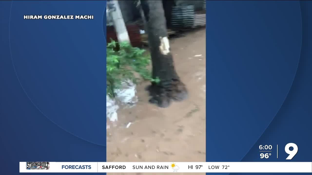 Nogales flooding due to heavy rains