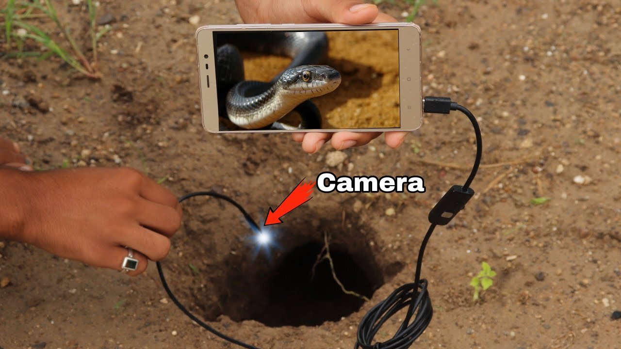 बाल बाल बचा - Mini USB Camera - साँप के बिल में Camera डाला (Shocking Result) - Giveaway