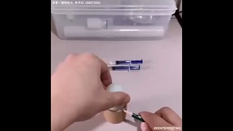 How_A_Chick_Born_From_A_Egg_🐣